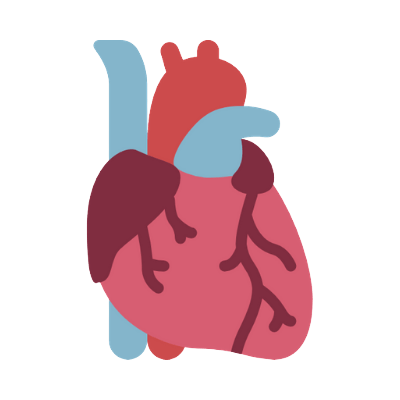 Osteopatía visceral, corazón